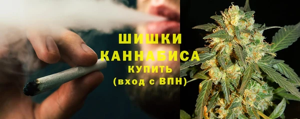 сатива Абинск