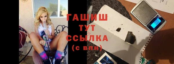 сатива Абинск