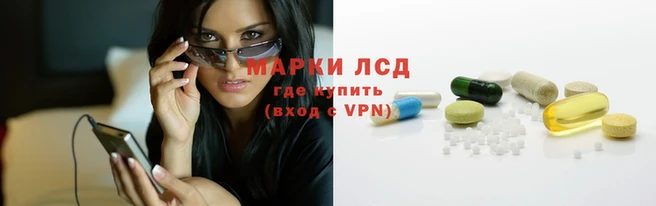 дмт Новокубанск