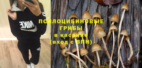 сатива Абинск