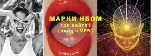сатива Абинск
