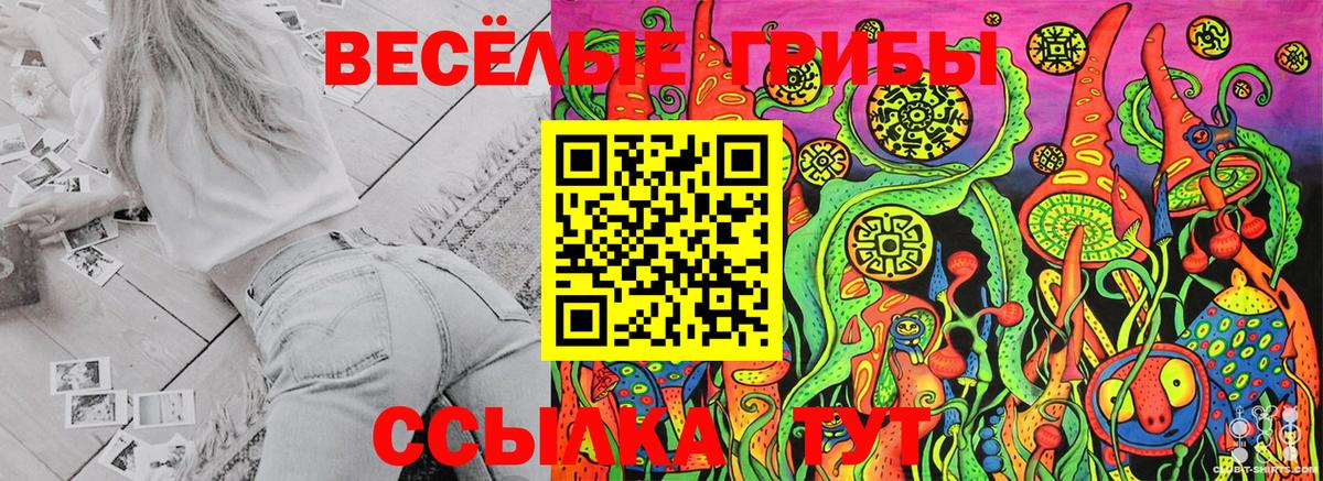 Галлюциногенные грибы ЛСД Химки